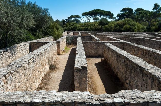 Castello-di-Donnafugata-labirinto